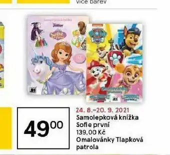 Tesco Omalovánky tlapková patrola nabídka