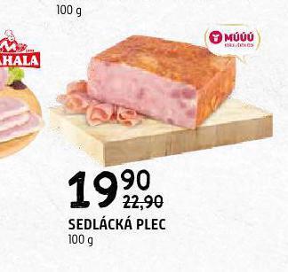 Terno Sedlácká plec nabídka