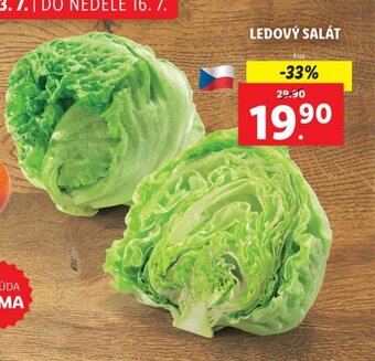 LEDOVÝ SALÁT