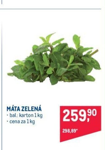 Makro MÁTA ZELENÁ nabídka
