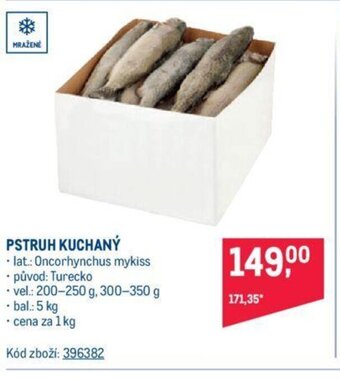 Makro PSTRUH KUCHANÝ nabídka