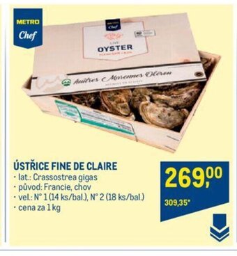 Makro ÚSTŘICE FINE DE CLAIRE nabídka
