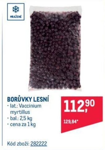 Makro BORŮVKY LESNÍ nabídka