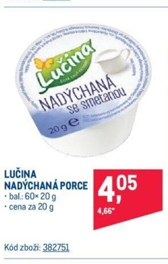 Makro LUČINA NADÝCHANÁ PORCE nabídka