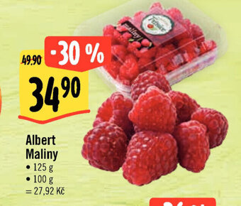 Albert Albert Maliny nabídka