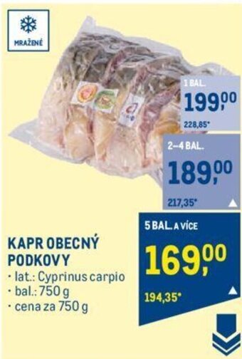 Makro KAPR OBECNÝ PODKOVY nabídka