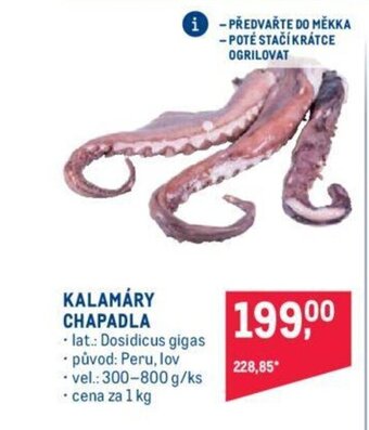 Makro KALAMÁRY CHAPADLA nabídka