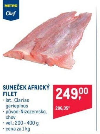 SUMEČEK AFRICKÝ FILET