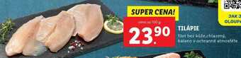 Lidl Tilápie, cena za 100 g nabídka