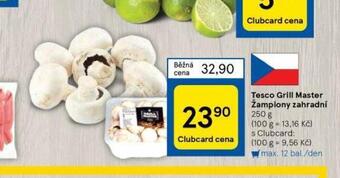 Tesco Žampiony zahradní nabídka