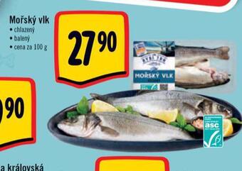 Albert Mořský vlk nabídka