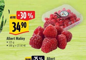 Albert Maliny nabídka