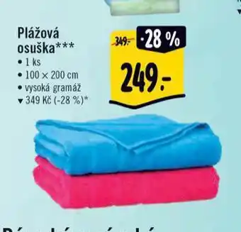 Albert Plážová osuška nabídka