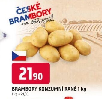 Trefa BRAMBORY KONZUMNÍ RANÉ 1 kg nabídka