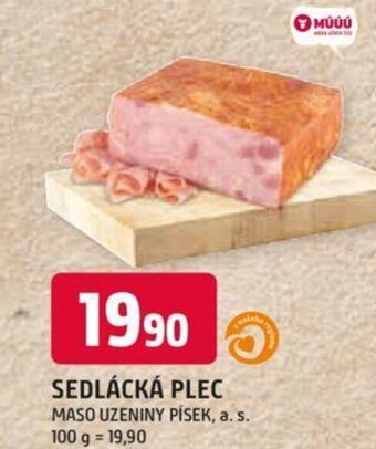SEDLÁCKÁ PLEC MASO UZENINY PÍSEK