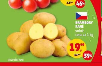 Penny Market Brambory rané nabídka