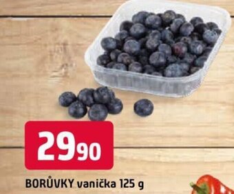 Trefa BORŮVKY vanička 125 g nabídka
