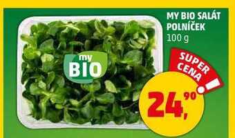Penny Market My bio salát polníček, 100 g nabídka