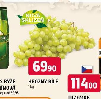 Terno Hrozny bílé nabídka