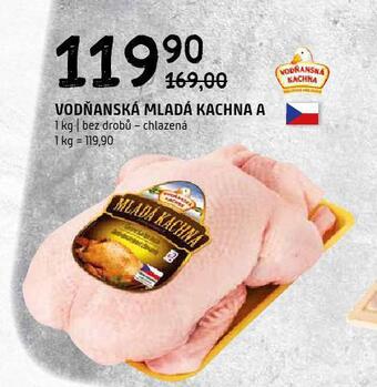 Terno Vodňanská mladá kachna nabídka