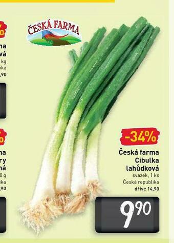 Billa Cibulka lahůdková nabídka