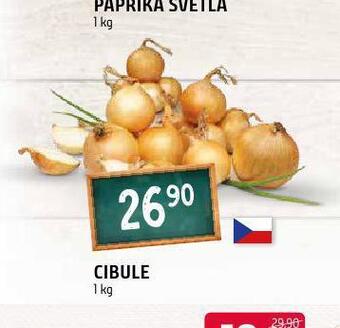 Terno Cibule nabídka