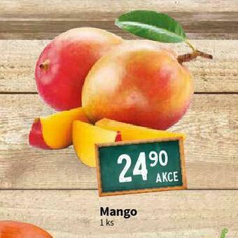 Terno Mango nabídka