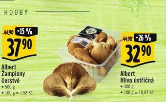 Albert Hlíva ústřičná nabídka