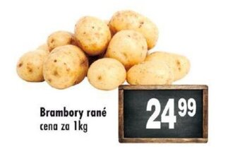 Qanto Brambory rané cena za 1kg nabídka
