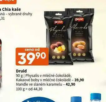 Terno Druid v čokoládě nabídka
