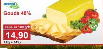 PLUS JIP Gouda 48% nabídka