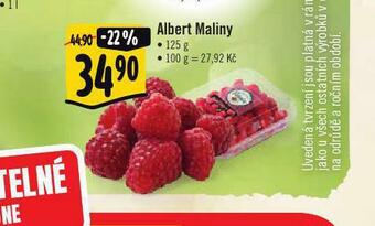 Albert Albert maliny nabídka