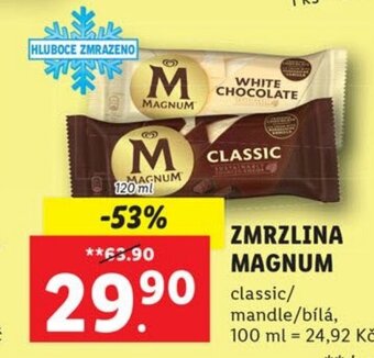 ZMRZLINA MAGNUM