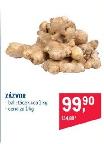 Makro ZÁZVOR nabídka