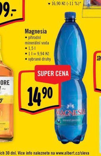 Albert Magnesia nabídka