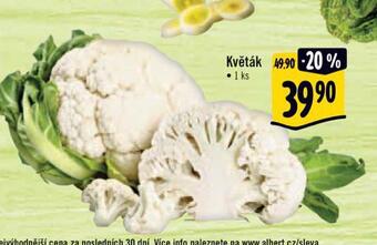 Albert Květák nabídka