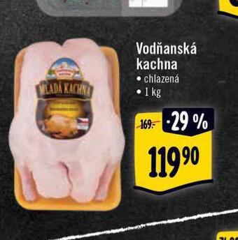 Albert Vodňanská kachna nabídka