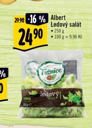 Albert Ledový salát nabídka
