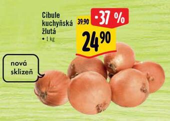 Albert Cibule kuchyňská žlutá nabídka