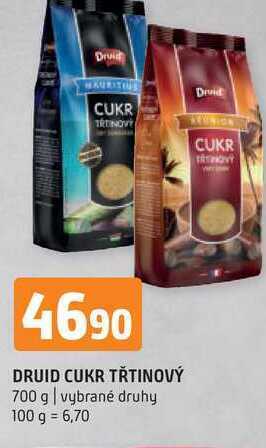 Terno Druid cukr třtinový 700 g nabídka