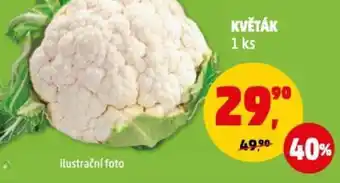 Penny Market KVĚTÁK 1 ks nabídka