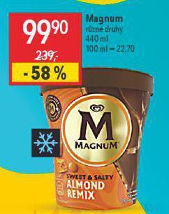 Globus Zmrzlina magnum nabídka