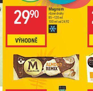 Globus Zmrzlina magnum nabídka