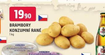 Terno Brambory konzumní rané nabídka