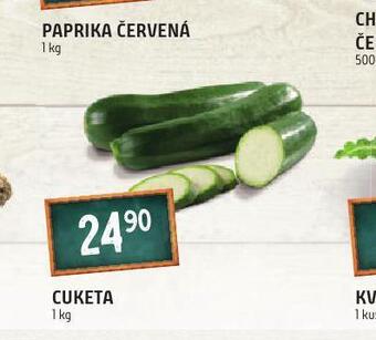 Terno Cuketa nabídka