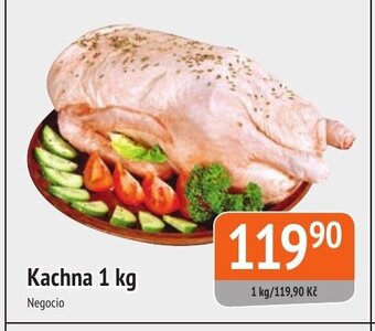 Coop hb Kachna 1 kg nabídka