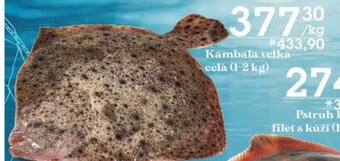 Jip Kambala velká celá (1-2 kg) nabídka