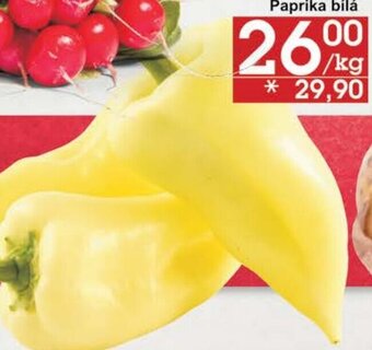 Jip Paprika bílá nabídka