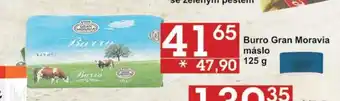 Jip Burro Gran Moravia nabídka