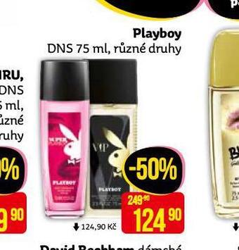 Teta Playboy dns nabídka